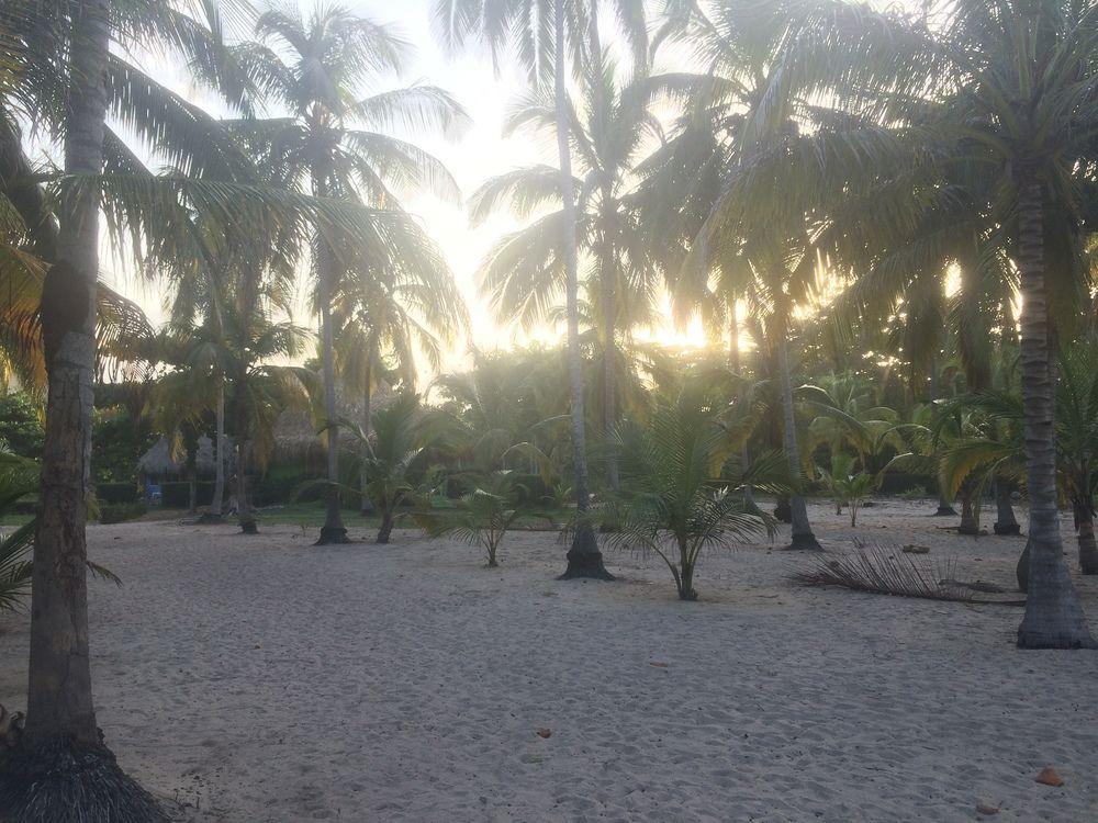 Hotel Playa Mandala Palomino Exterior photo