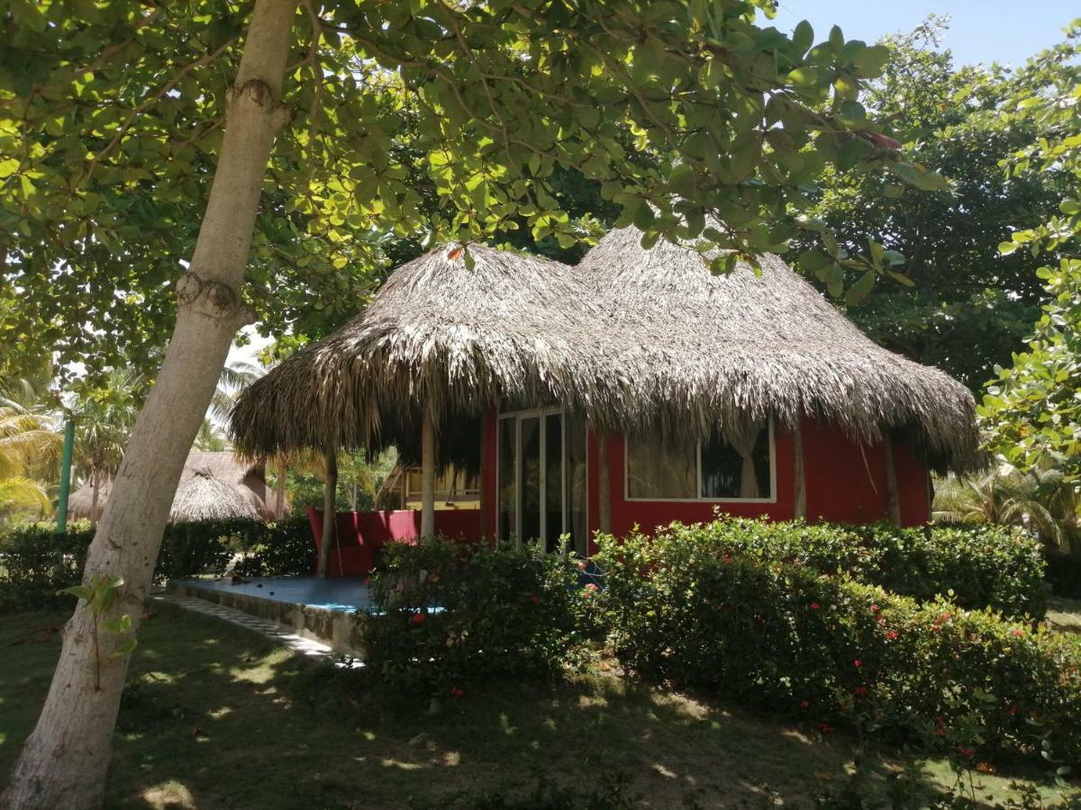 Hotel Playa Mandala Palomino Exterior photo